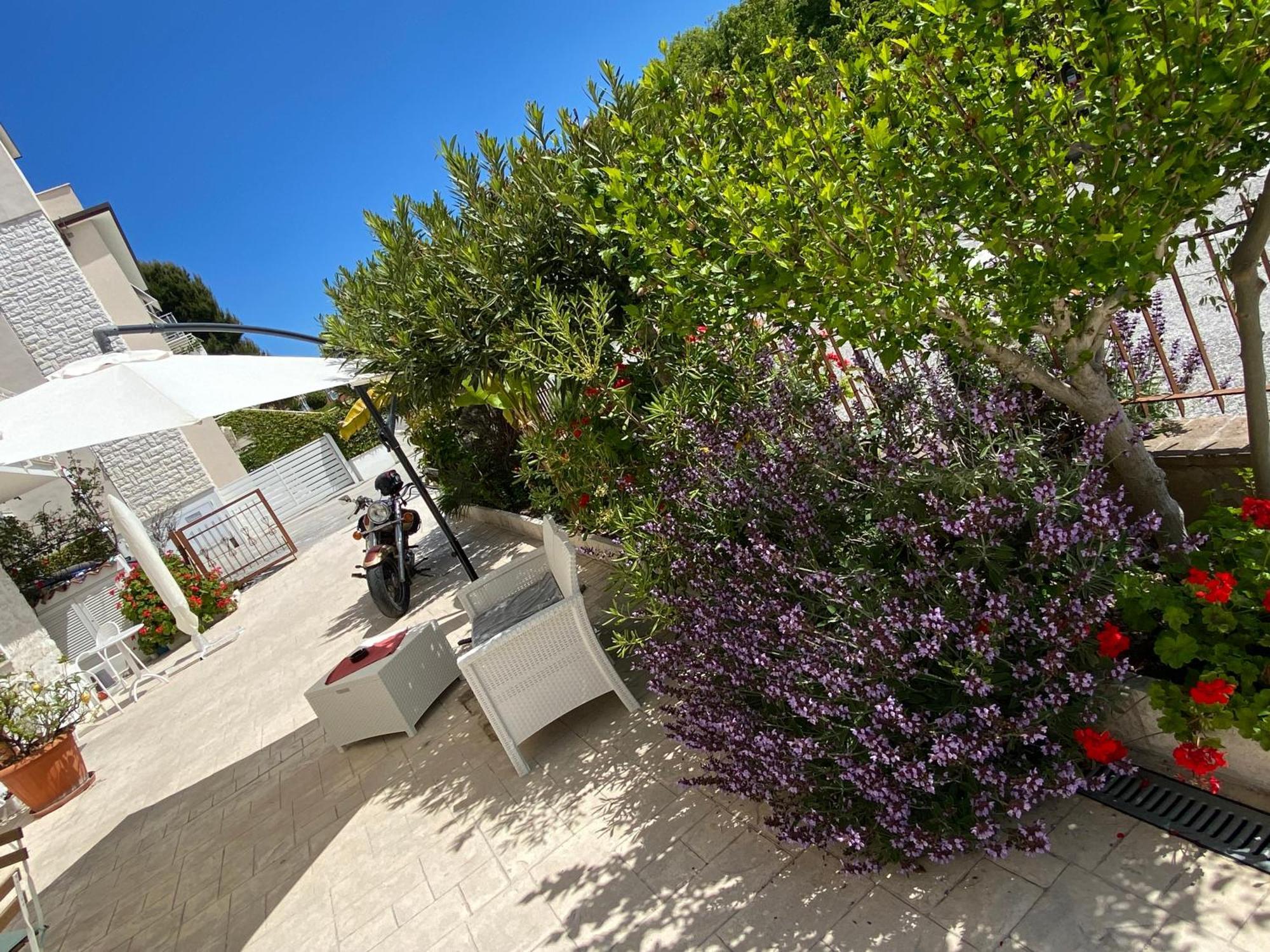 Lagarolina Del Conero B&B シローロ エクステリア 写真